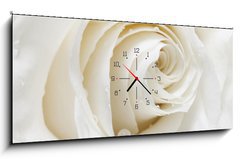 Obraz s hodinami 1D panorama - 120 x 50 cm F_AB48880652 - white rose