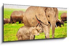 Obraz s hodinami 1D - 120 x 50 cm F_AB49494592 - Elephants family on savanna. Safari in Amboseli, Kenya, Africa - Rodina slon na savan. Safari v Amboseli, Kea, Afrika