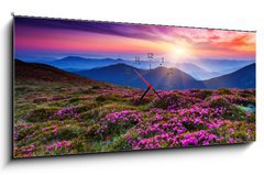 Obraz s hodinami 1D panorama - 120 x 50 cm F_AB49545683 - flower