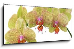 Obraz s hodinami 1D panorama - 120 x 50 cm F_AB4976383 - bunch of yellow orchid flowers