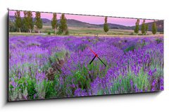 Obraz s hodinami 1D panorama - 120 x 50 cm F_AB49777064 - Sunset over a summer lavender field in Tihany, Hungary - Západ slunce nad letní levandule pole v Tihany, Maďarsko