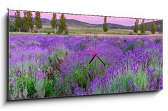 Obraz s hodinami 1D panorama - 120 x 50 cm F_AB49777064 - Sunset over a summer lavender field in Tihany, Hungary - Zpad slunce nad letn levandule pole v Tihany, Maarsko