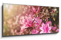 Obraz s hodinami 1D panorama - 120 x 50 cm F_AB49992650 - Spring Azaleas in Soft Sunlight