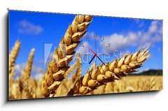 Obraz s hodinami 1D panorama - 120 x 50 cm F_AB4999521 - hren - olovo