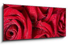 Obraz s hodinami 1D panorama - 120 x 50 cm F_AB50422601 - Red rose.