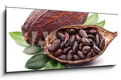 Obraz s hodinami 1D panorama - 120 x 50 cm F_AB50690760 - Cocoa pod - Kakaový lusek
