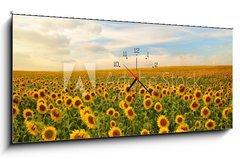 Obraz s hodinami 1D panorama - 120 x 50 cm F_AB50744660 - sunflowers