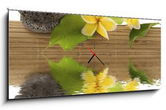 Obraz s hodinami 1D panorama - 120 x 50 cm F_AB51354195 - concept dtente : bambou, galets, papillon, fleurs