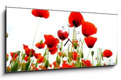 Obraz s hodinami   coquelicots sur fond blanc, 120 x 50 cm