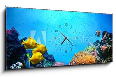 Obraz s hodinami 1D panorama - 120 x 50 cm F_AB52173106 - Underwater scene. Coral reef, fish groups in clear ocean water - Podvodní scéna. Korálový útes, rybí skupiny v čisté mořské vodě