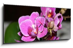 Obraz s hodinami 1D panorama - 120 x 50 cm F_AB5243512 - orchid