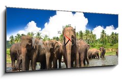 Obraz s hodinami 1D - 120 x 50 cm F_AB53076772 - Elephant group in the river