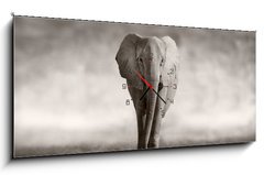 Obraz s hodinami 1D - 120 x 50 cm F_AB53182375 - Elephant