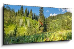 Obraz s hodinami   Nature of green trees and blue sky, near Medeo in Kazakhstan, 120 x 50 cm