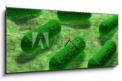 Obraz s hodinami 1D panorama - 120 x 50 cm F_AB53968782 - E coli Bacteria. - Bakterie E coli.