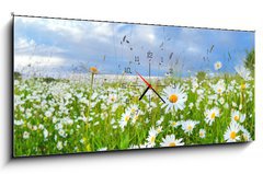 Obraz s hodinami   many chamomile flowers over blue sky, 120 x 50 cm