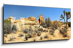Obraz s hodinami 1D panorama - 120 x 50 cm F_AB54332730 - Joshua Tree