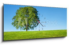 Obraz s hodinami 1D panorama - 120 x 50 cm F_AB54481754 - Green tree and blue sky - Zelený strom a modrá obloha