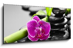 Obraz s hodinami 1D panorama - 120 x 50 cm F_AB56279364 - orchid