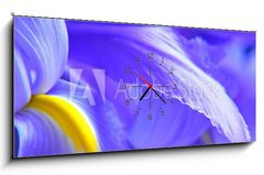Obraz s hodinami   irises, 120 x 50 cm
