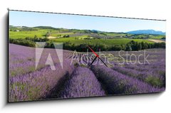 Obraz s hodinami 1D panorama - 120 x 50 cm F_AB5757066 - panoramique - Champ de lavande en Provence - panoramatick