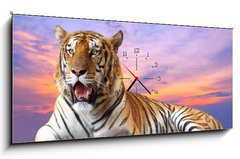 Obraz s hodinami   Tiger looking something on the rock with beautiful sky at sunset, 120 x 50 cm