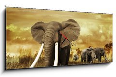 Obraz s hodinami   Elephants At Sunset, 120 x 50 cm