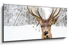 Obraz s hodinami 1D panorama - 120 x 50 cm F_AB58977181 - Deer with beautiful big horns on a winter country road - Jelen s krsnmi velkmi rohy na zimn venkovsk cest