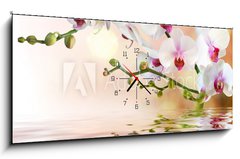 Obraz s hodinami 1D panorama - 120 x 50 cm F_AB59169031 - white orchids on water with drop