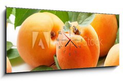 Obraz s hodinami   Fresh apricots, 120 x 50 cm