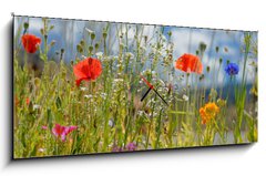 Obraz s hodinami   Colorful wildflowers, 120 x 50 cm