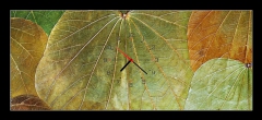 Obraz s hodinami 1D panorama - 120 x 50 cm F_AB5989441 - background from natural leafs