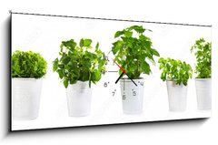 Obraz s hodinami 1D panorama - 120 x 50 cm F_AB59972855 - set of potted green plants
