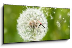 Obraz s hodinami 1D panorama - 120 x 50 cm F_AB60211614 - dandelion with flying seeds