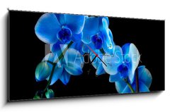 Obraz s hodinami 1D panorama - 120 x 50 cm F_AB60337173 - Blue sapphire orchid