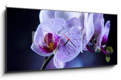 Obraz s hodinami 1D panorama - 120 x 50 cm F_AB60355807 - Beautiful orchids