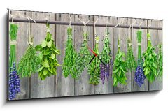 Obraz s hodinami 1D panorama - 120 x 50 cm F_AB60542254 - kruter, kruter - byliny, byliny