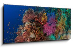 Obraz s hodinami 1D panorama - 120 x 50 cm F_AB60562168 - Coral and fish