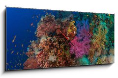 Obraz s hodinami 1D panorama - 120 x 50 cm F_AB60562168 - Coral and fish