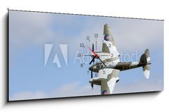 Obraz s hodinami 1D panorama - 120 x 50 cm F_AB60700500 - Mosquito in flight