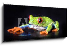 Obraz s hodinami   frog macro  a red eyed tree frog isolated on black, 120 x 50 cm