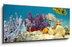 Obraz s hodinami 1D panorama - 120 x 50 cm F_AB61200076 - Colorful underwater marine life seabed - Barevné podvodní mořské dno mořského života