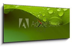 Obraz s hodinami 1D panorama - 120 x 50 cm F_AB61503897 - Plant - Rostlina