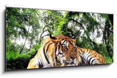 Obraz s hodinami 1D - 120 x 50 cm F_AB61968911 - Tiger looking something on the rock in tropical evergreen forest - Tygr hled nco na skle v tropickm stlezelenm lese