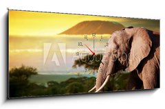 Obraz s hodinami 1D - 120 x 50 cm F_AB62334614 - Elephant on savanna. Mount Kilimanjaro at sunset. Safari - Slon na savaně. Mount Kilimanjaro při západu slunce. Safari