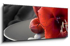 Obraz s hodinami 1D panorama - 120 x 50 cm F_AB6240568 - rote Amaryllis auf schwarzem Teller