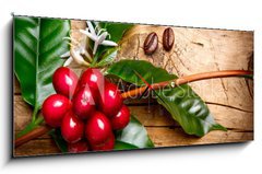 Obraz s hodinami 1D panorama - 120 x 50 cm F_AB62633305 - Coffee Plant. Red coffee beans on a branch of coffee tree - Kávovar. Červená kávová zrna na větvi kávy