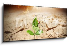 Obraz s hodinami 1D panorama - 120 x 50 cm F_AB62660495 - plant in arid land - climate warming and drought concept - rostlin na suchém pozemku