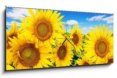 Obraz s hodinami 1D - 120 x 50 cm F_AB62796944 - sunflower field and blue sky with clouds