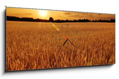 Obraz s hodinami 1D panorama - 120 x 50 cm F_AB6287668 - Field of wheat at sunset - Pole pšenice při západu slunce